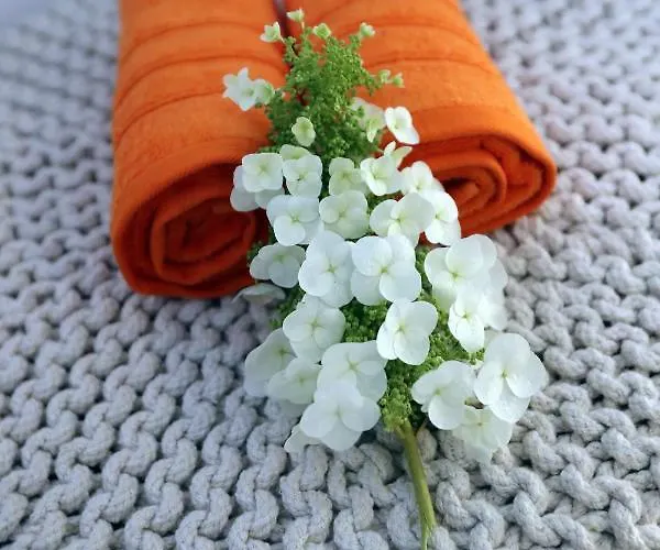 Petit Prince, גנט